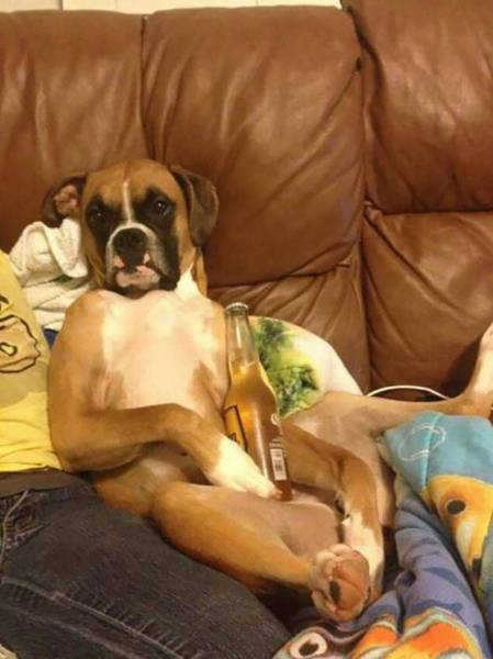 Daily Picdump [WEEKEND EDITION]