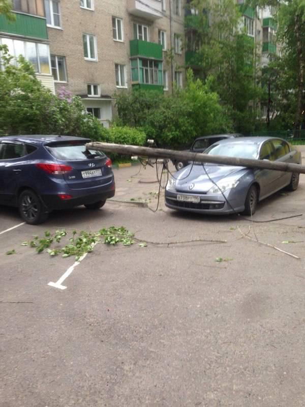 Morning Picdump