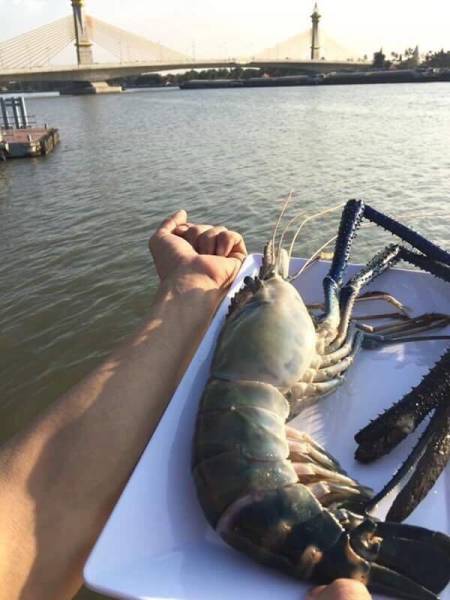 Daily Picdump