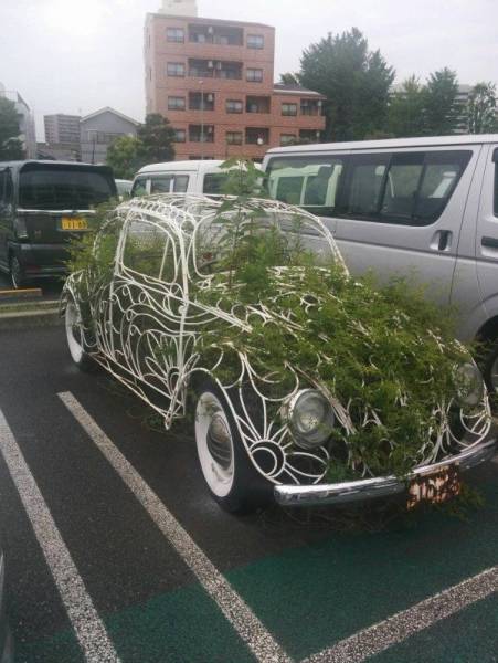 Daily Picdump