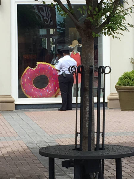 Morning Picdump