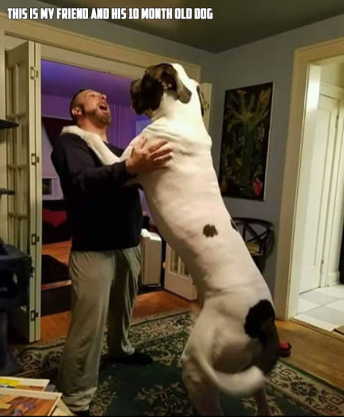 Morning Picdump