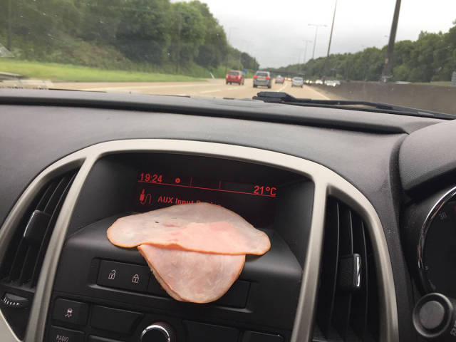 Morning Picdump