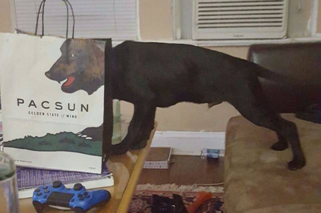 Morning Picdump