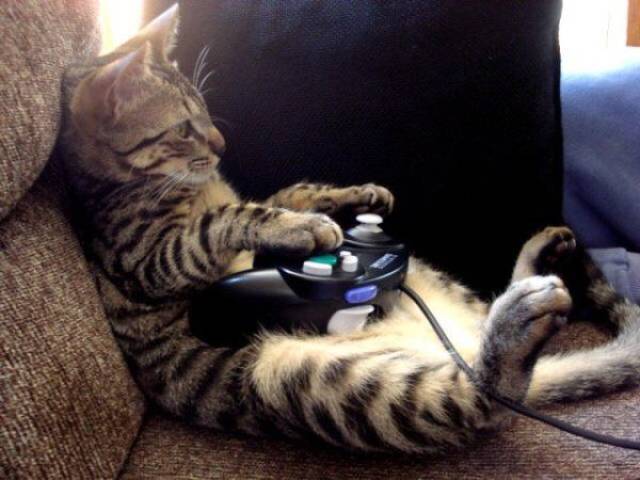 Daily Picdump