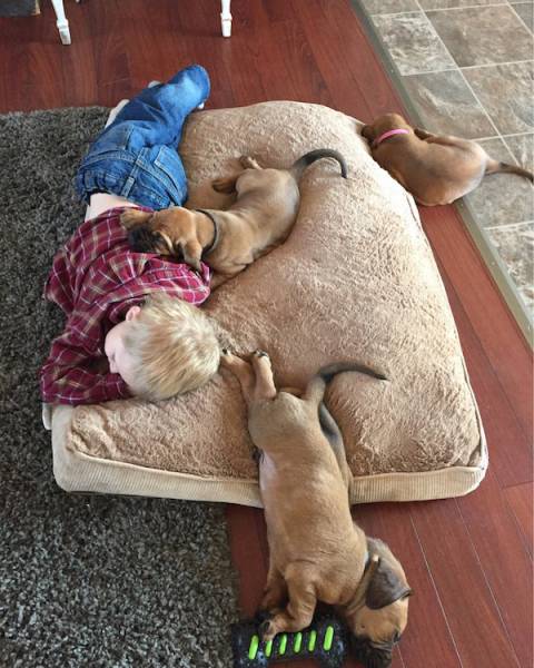 Morning Picdump