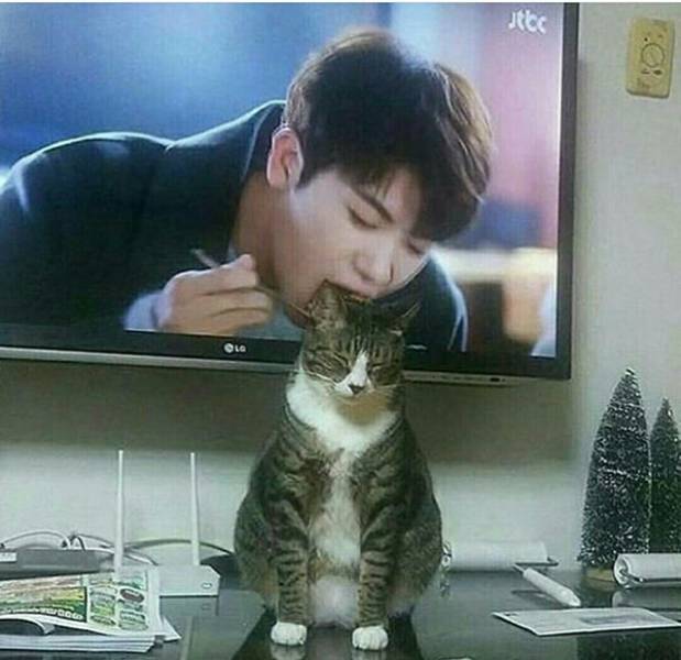 Morning Picdump