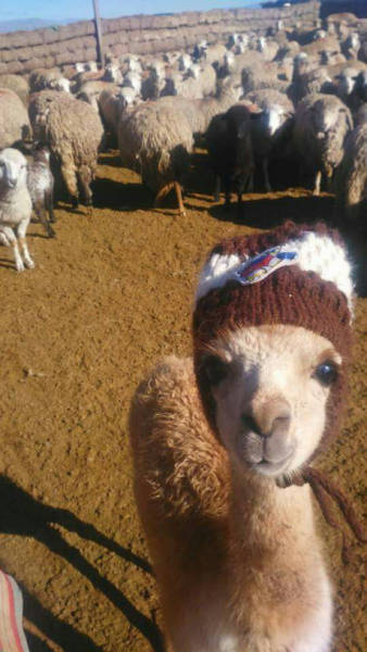 Morning Picdump