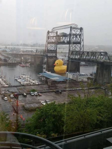 Morning Picdump