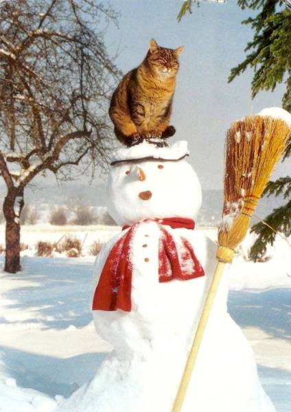 Daily Picdump