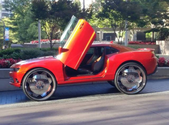 Daily Picdump