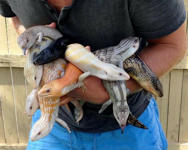 Daily Picdump