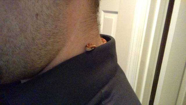 Daily Picdump