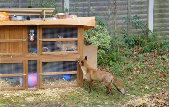 Daily Picdump