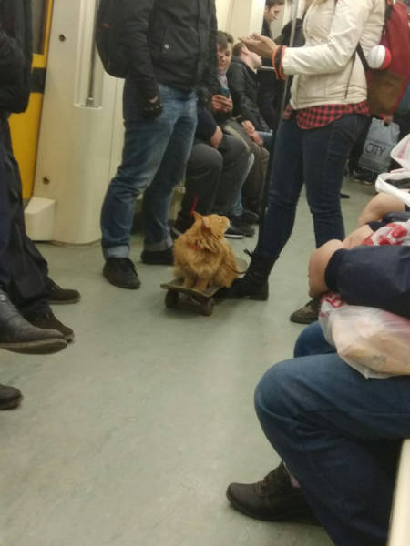 Morning Picdump