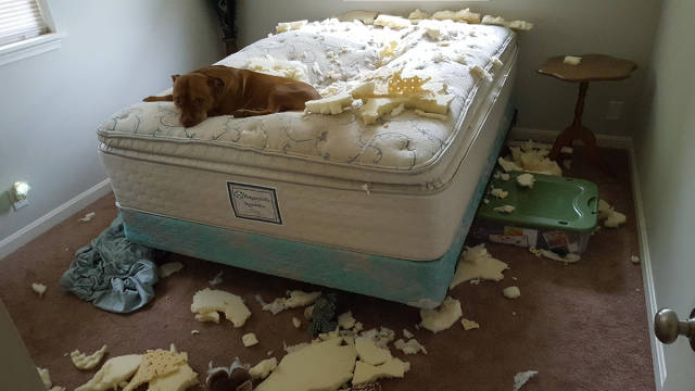 Morning Picdump