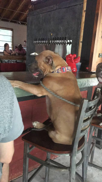 Morning Picdump