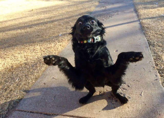 Morning Picdump