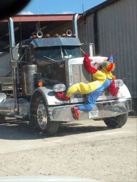 Morning Picdump