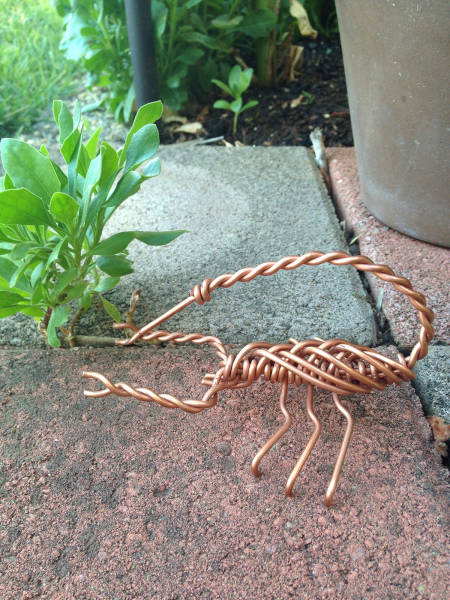 Morning Picdump