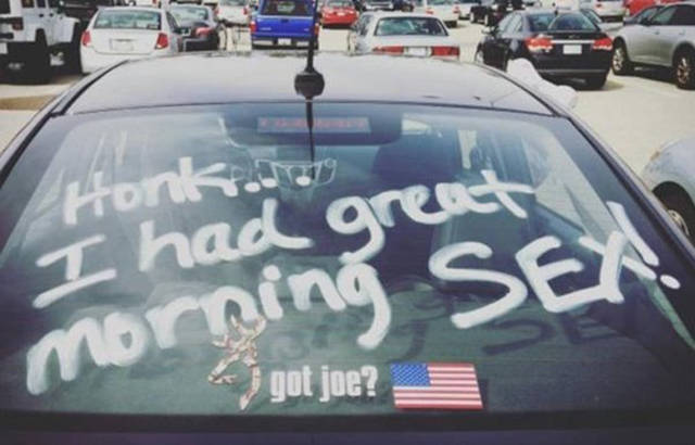 Morning Picdump