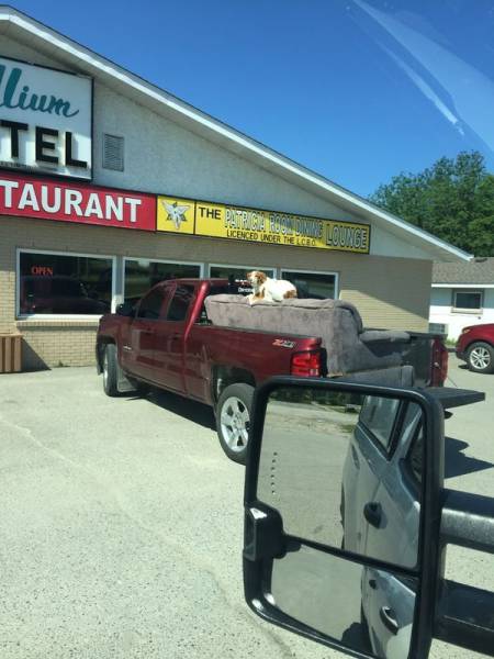 Morning Picdump