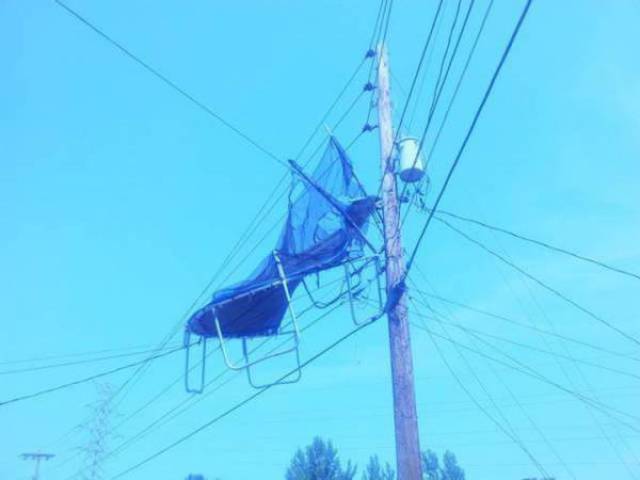 Wind Will Do Whatever It Wants With You