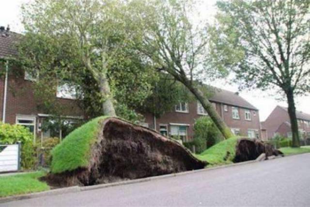 Wind Will Do Whatever It Wants With You