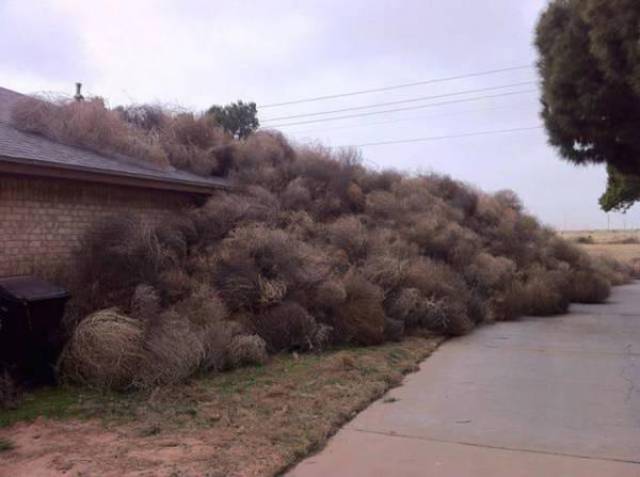 Wind Will Do Whatever It Wants With You