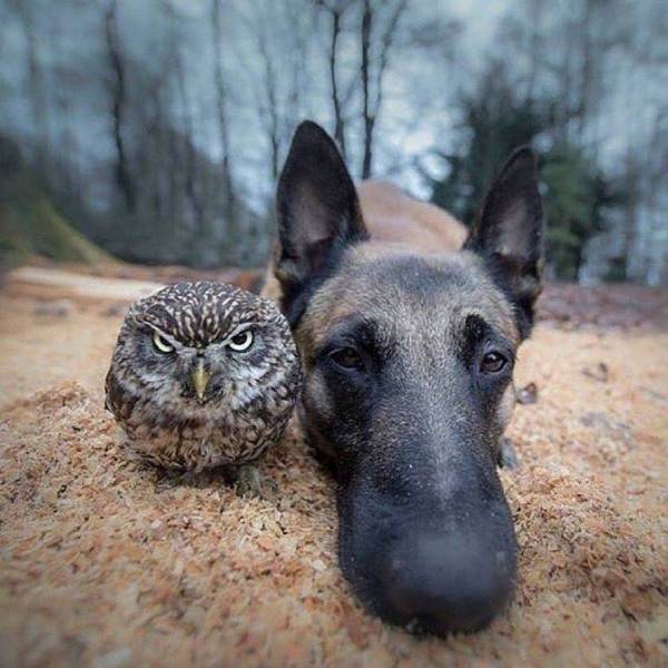 Daily Picdump