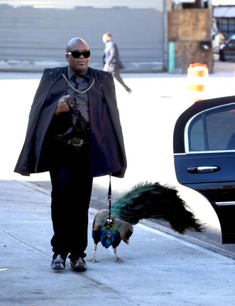 Morning Picdump