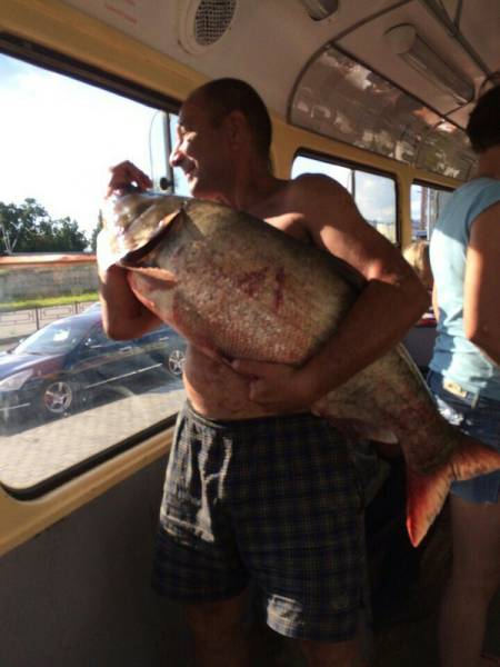Morning Picdump