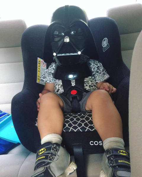 Morning Picdump