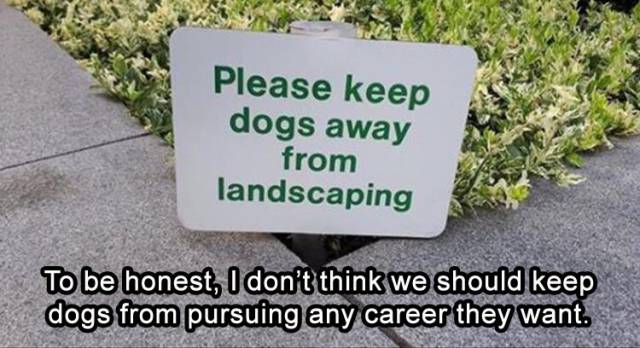 Funny Picdump