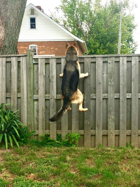 Daily Picdump