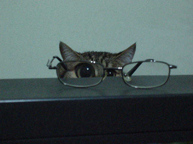 Morning Picdump