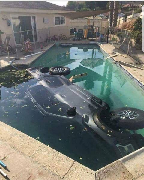 Morning Picdump