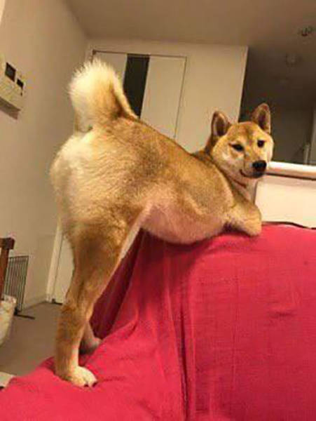 Morning Picdump
