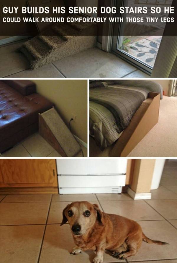 Morning Picdump