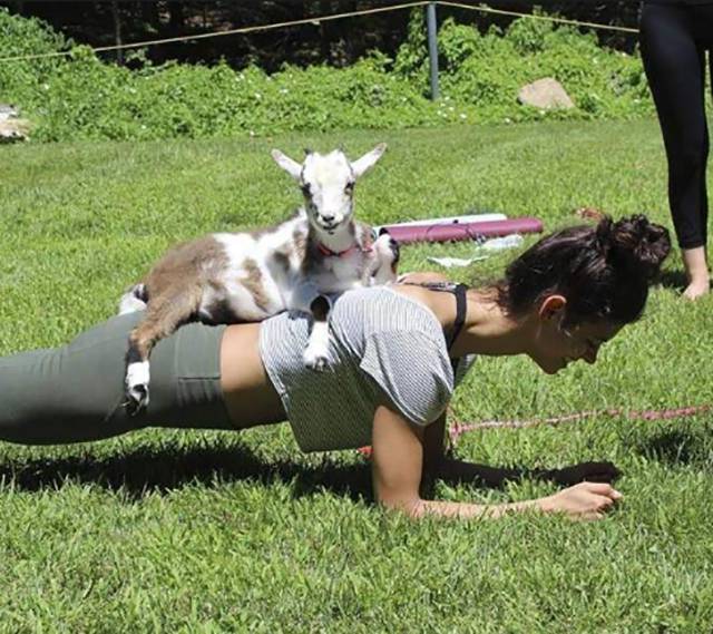 Morning Picdump