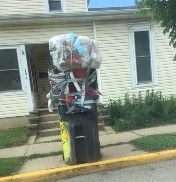 Morning Picdump