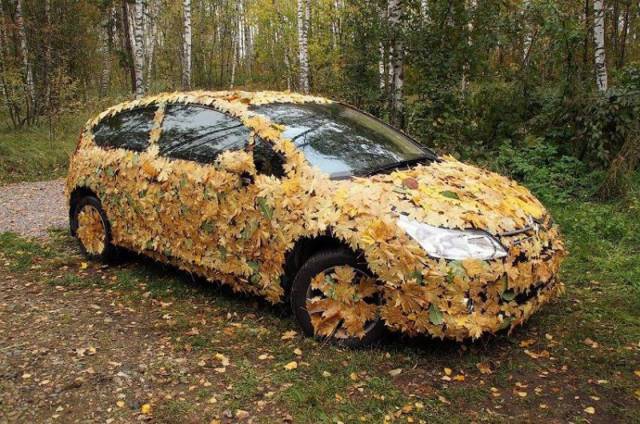 Daily Picdump