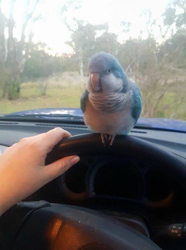Daily Picdump