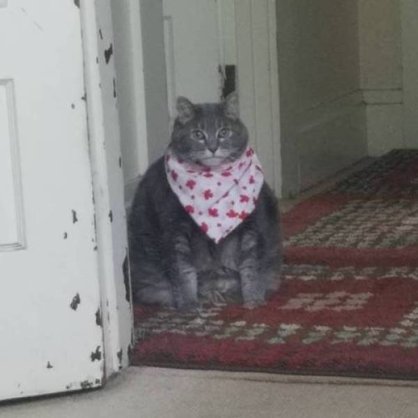 Morning Picdump