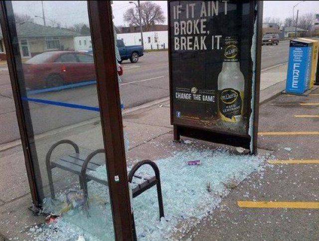 Daily Picdump