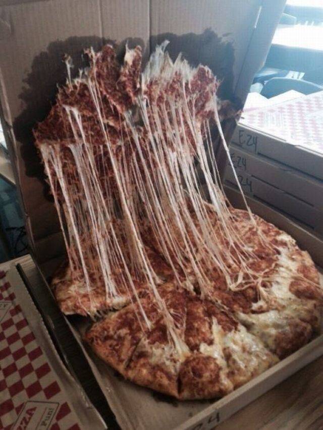 Daily Picdump