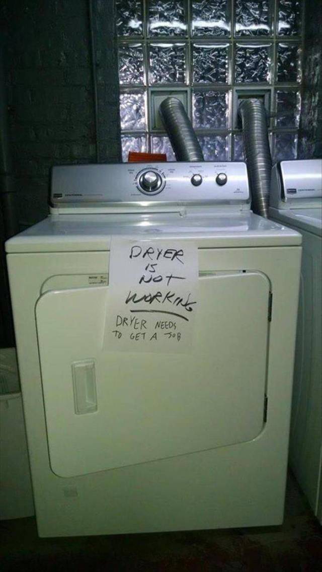 Daily Picdump