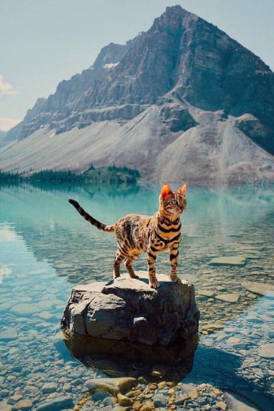 Morning Picdump
