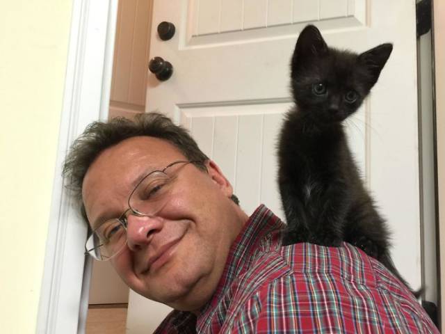 No One Can Hate Cats Forever!