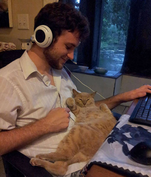 No One Can Hate Cats Forever!